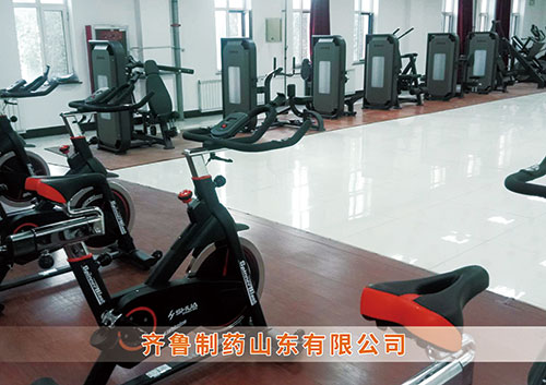 ​锐强体育为齐鲁制药呼和浩特分PG体育-PG| PG官方网站打造健身房