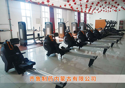 锐强体育为​齐鲁制药内蒙古分PG体育-PG| PG官方网站打造健身房